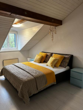Casa Styner